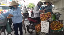 Thị trường trái cây bao giờ được quản lý?