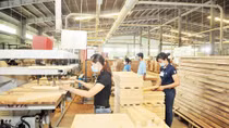 Nắm bắt xu thế mới, dịch chuyển thị trường xuất khẩu