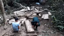 Vụ bãi tập kết gỗ gần trạm bảo vệ rừng: Bất nhất số liệu gỗ vi phạm