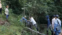 Nhọc nhằn… phim tài liệu