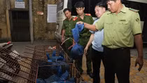 Phát hiện 30 con tê tê trên xe khách