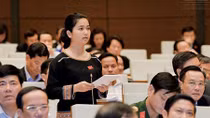 Chất trẻ ở Diên Hồng