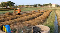 Hiểm họa từ vỏ bao bì, thuốc bảo vệ thực vật tồn đọng