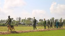 Ngăn chặn xuất, nhập cảnh trái phép ở biên giới Tây Nam