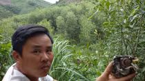 Cư dân làng Dừa bàng hoàng kể chuyện đi tìm phi công và máy bay rơi