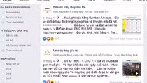 Cảnh giác với mánh lừa bán vé máy bay giá rẻ