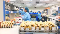 Làm rõ trách nhiệm, xử lí nghiêm minh vụ gian lận xét nghiệm