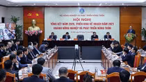 Nông nghiệp là trụ đỡ cho nền kinh tế năm 2020