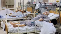 Yêu cầu rà soát trên toàn quốc sản phẩm pate Minh Chay