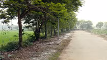 Lò giết mổ trâu bò Hải Bối: Đề án “treo”, dân sống chung ô nhiễm