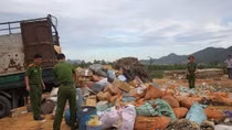 Tiêu hủy số lượng lớn thực phẩm bẩn