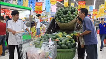 Trăn trở khát vọng đưa Việt Nam trở thành cường quốc về nông nghiệp