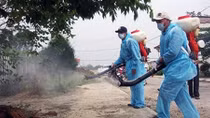 Bệnh do vi rút Zika sẽ trở thành bệnh dịch lưu hành
