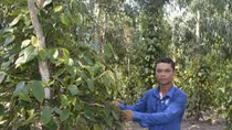 Thành công nhờ làm “chuyện ngược đời”