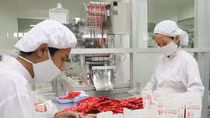 Thị trường tân dược trước “cơn sóng” hội nhập