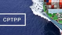 Trình Quốc hội “Luật sửa một số luật để thực thi Hiệp định CPTPP” vào tháng 5-2019