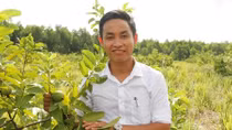 Nam thanh niên xin nghỉ việc ở Viện nghiên cứu về quê trồng xả kiếm tiền tỷ