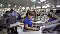 Mùa dịch, doanh nghiệp cẩn trọng để tránh bồi thường hợp đồng