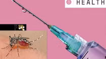 Tiết kiệm hàng chục tỉ đôla nếu kiểm soát được dịch Zika và sốt xuất huyết