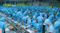 Những doanh nghiệp “bén duyên” với con cá triệu đô