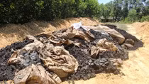 Sau thải độc ra biển, Formosa lại đưa chất thải lên rừng