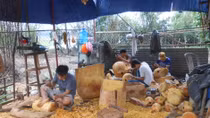 Làng mõ chốn cố Kinh