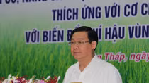 Phó Thủ tướng Vương Đình Huệ thăm và làm việc tại Đồng Tháp