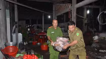 Mua heo chết bệnh về quay chín rồi bán cho các tiệm bánh mỳ