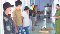 Tụ tập đá gà ăn thua bằng tiền trong ngày đầu thực hiện Chỉ thị 16