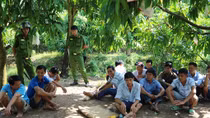 Tạm giữ 22 đối tượng đá gà, thu giữ gần trăm triệu đồng