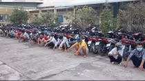 14 người tụ tập đá gà giữa mùa dịch COVID-19