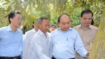 Chủ động ứng phó nguy cơ hạn mặn ở ĐBSCL
