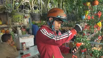 Hoa tình yêu, hoa trồng trong chậu đắt hàng dịp lễ tình nhân