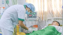 4 người cùng gia đình bị ong rừng đốt nhập viện cấp cứu