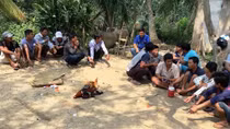 Triệt phá 2 tụ điểm đá gà ở vùng quê Vĩnh Long và Trà Vinh 