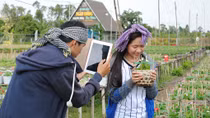 Sa Đéc tạm ngưng bán vé du lịch làng hoa