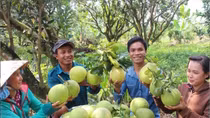 Nông dân miền Tây ăn Tết lớn