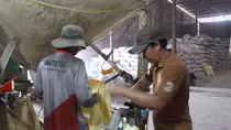 Doanh nghiệp làm giả nhãn hiệu lúa giống bán cho nông dân