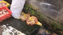 Hãi hùng thịt gà "ướp, nhuộm" hàn the