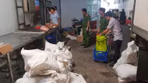 Phát hiện 30 tấn thực phẩm đông lạnh không rõ nguồn gốc