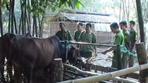 Trà Vinh hướng tới xóa đói giảm nghèo bền vững