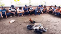 Triệt xóa tụ điểm đá gà phía sau căn biệt thự
