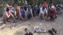 Tổ chức đá gà ăn tiền tại nhà