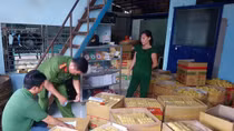 Rùng mình với hơn 10 tấn mì sợi dương tính với hàn the