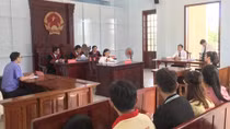 Hoãn phiên tòa xét xử Nhật Kim Anh giành quyền nuôi con