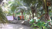 Người phụ nữ chết dưới mương sau nhà, 2 chân bị trói