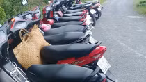 Liên tiếp triệt phá các trường gà