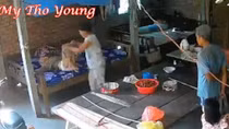 Bắt giam hai vợ chồng bạo hành mẹ già 88 tuổi