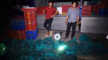 Chết khiếp với hơn 2 tạ rắn bò lổm ngổm trên xe tải