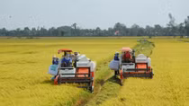 Tái cơ cấu nông nghiệp phải làm giàu cho nhà nông